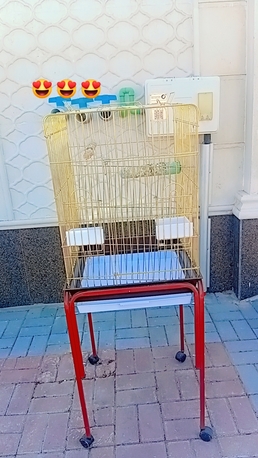 Khobar, Household Items, SAR 100,  Beautiful Gold Bird Cage With Moving Stand (Excellent Condition)