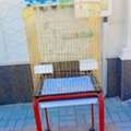 SAR 100,  Beautiful Gold Bird Cage With Moving Stand (Excellent Condition)
