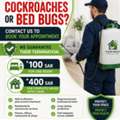 Professional Cockroach & Bed Bug Pest Control Services In Jeddah