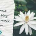 AUD 1,  Organic Chemistry Assignment Help &ndash; Get Expert Assistance At 50% OFF