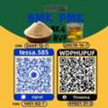 CNY 50,  28578-16-7 PMK International Cargo Management  Ethyl Glycidate  5449-12-7  BMK
