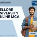 Masters Paths: Vellore University Online MCA
