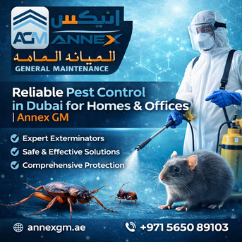 Abu Dhabi, Business, Pest Control In Dubai - Get This Service Now!