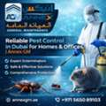 Pest Control In Dubai - Get This Service Now!