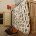 SAR 500,  Single Bed Set With Mattress And Cupboard