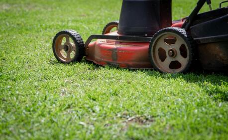 Calgary, Business, Calgary Lawn Care & Mowing Services