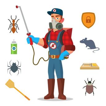 Dubai, Business, Protect Your Home & Business With Expert Pest Control Dubai Services By Al Falak
