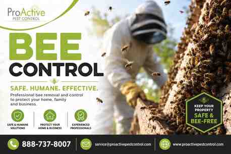 New York, Pest Control, Professional Bee Control Services &ndash; Safe & Effective Bee Removal
