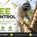 Professional Bee Control Services &ndash; Safe & Effective Bee Removal