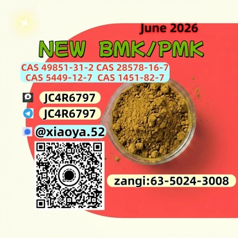 Berlin, Businesses For Sale, BMK 5449-12-7 Glycidic Acid Sodium Salt PMK 28578-16-7 Free Shipping