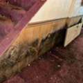 Certified Mold Remediation Rochester EPA-Compliant Solutions