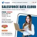 Salesforce Data Cloud Free Live Demo &ndash; Register Now!