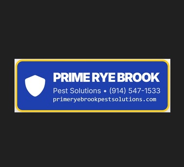 New York, Business, Prime Rye Brook Pest Solutions