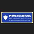 Prime Rye Brook Pest Solutions