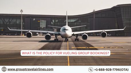 New York, Travel, What Is The Policy For Vueling Group Bookings?