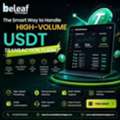 The Smart Way To Handle High-Volume USDT Transaction Flash