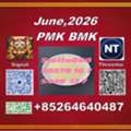 CNY 100,  PM.K CAS 28578-16-7 | Reliable Delivery With Tracking Service
