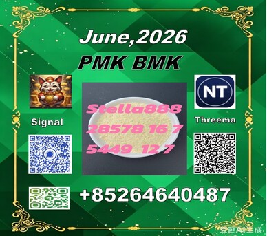 Hong Kong, Jewelry, CNY 100,  New Product Cas 28578-16-7 PM-K BM-K Cas 5449-12-7