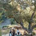 Empower Yourself With Sedona AZ&rsquo;s Healing Energy