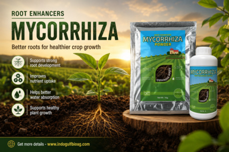 New York, Farm & Garden, USD 50,  Seedlings Failing To Establish? Support With Root Enhancers &ndash; Shop Now