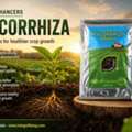 USD 50,  Seedlings Failing To Establish? Support With Root Enhancers &ndash; Shop Now