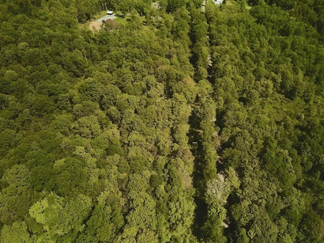 New York, Real Estate, Buy A Home In Livingston Manor NY