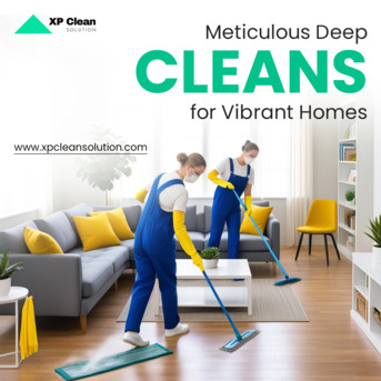 New York, Cleaning, Top Carpet Cleaning In Fort Mill, SC | Deep Cleaning For Healthier Carpets
