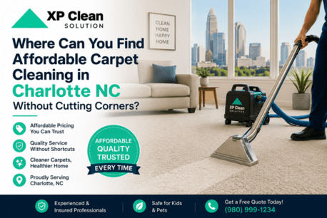 New York, Cleaning, Top Carpet Cleaning In Fort Mill, SC | Deep Cleaning For Healthier Carpets