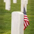 American Cremation Services