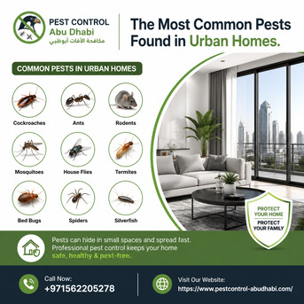 Abu Dhabi, Business, The Most Common Pests Found In Urban Homes