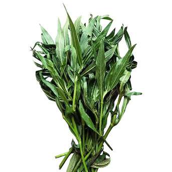 Kolkata, Farm & Garden, INR 199,  Kulekhara Saag Online For Home Gardening And Plant Collections