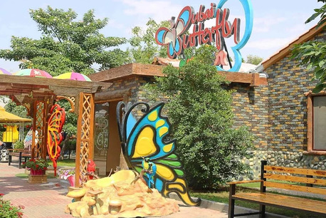 Dubai, Travel, Explore The Colorful Beauty And Natural Wonders Of Dubai Butterfly Garden