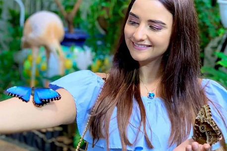 Dubai, Travel, Explore The Colorful Beauty And Natural Wonders Of Dubai Butterfly Garden