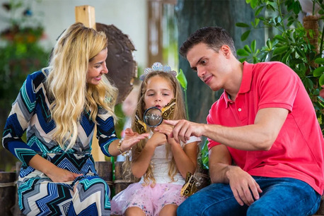 Dubai, Travel, Explore The Colorful Beauty And Natural Wonders Of Dubai Butterfly Garden