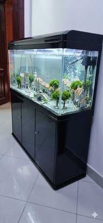 Madinah, Pet Supplies, SAR 2500,  Fish Aquarium With Table