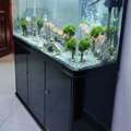 SAR 2500,  Fish Aquarium With Table