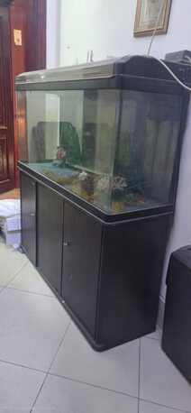 Madinah, Pet Supplies, SAR 2500,  Fish Aquarium With Table