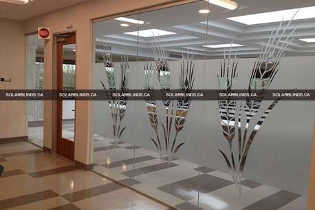 Edmonton, Creative, Types Of Sun Control Window Film