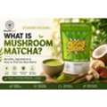Best Mushroom Matcha For Clean Energy & Daily Wellness