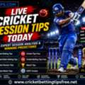 Professional T20 Cricket Prediction Guide