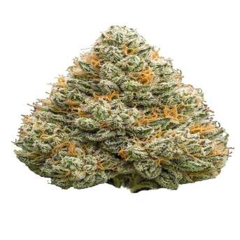 New York, Farm & Garden, USD 35,  Bubble Gum Gelato Strain | Premium THCA Flower