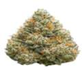 USD 35,  Bubble Gum Gelato Strain | Premium THCA Flower