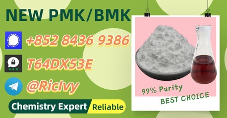 Brisbane, Materials, AUD 200,  Bestseller On Market 28578-16-7 5449-12-7