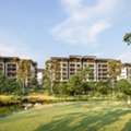 Discover Premium Retirement Homes Sydney For Comfortable Senior Living