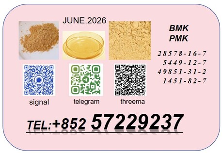 Kabul, Job Seekers, BM K 5449-12-7 Supplier High Purity 28578-16-7 PMK