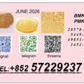 BM K 5449-12-7 Supplier High Purity 28578-16-7 PMK