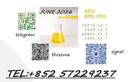Kabul, Job Seekers, BM K 5449-12-7 Supplier High Purity 28578-16-7 PMK