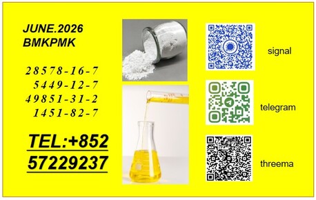 Algiers, Temp Jobs, CAS:28578-16-7&CAS:5449-12-7BMK/PMK Sale