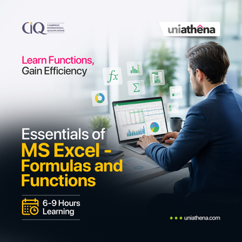 Abbottabad, Lessons Offered, Practical Excel Skills For Workplace Success | UniAthena