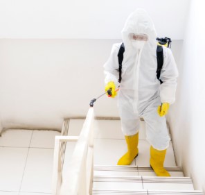 New York, Business, Emergency Mold Testing Services Castle Pines